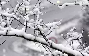 TOUES les structures sportives sont fermées ce mercredi 7 janvier