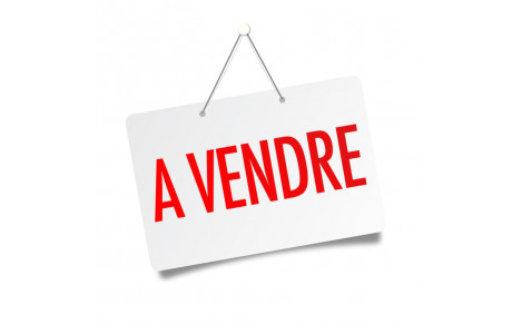 Vente de justaucorps