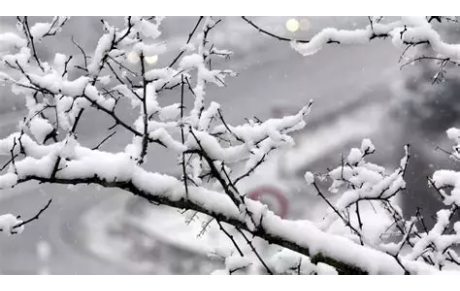 TOUES les structures sportives sont fermées ce mercredi 7 janvier